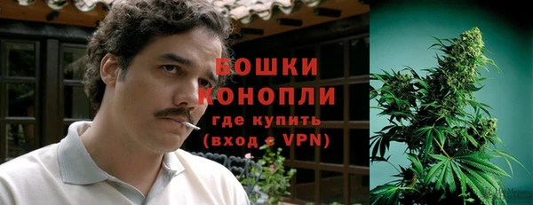 дурь Кинешма