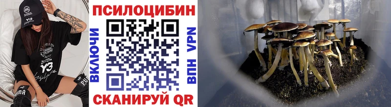 Псилоцибиновые грибы Magic Shrooms  Купить где  Сибай 